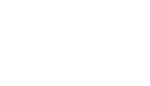The Bastard