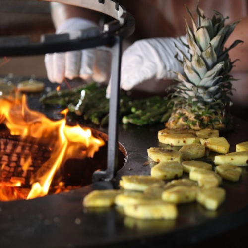 sb accessories-grill-horizontal-xl-04